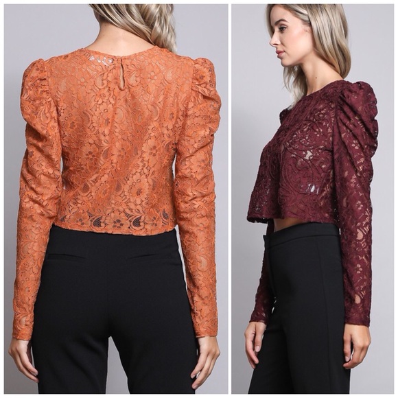 ❗️CLOSING SALE❗️Ox Blood Jacquard Lace Crop Top - Picture 2 of 3